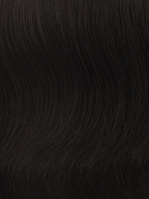 16" 2Pc Extension Hairpiece by Hairdo | Synthetic (Wefted)