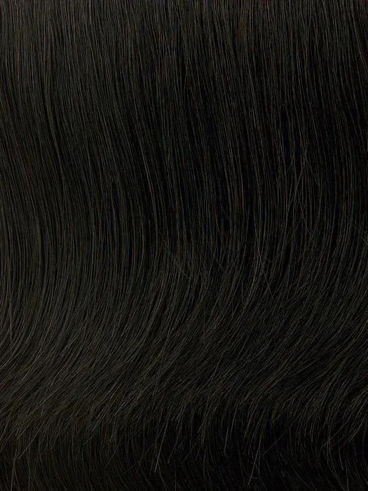 16" 2Pc Extension Hairpiece by Hairdo | Synthetic (Wefted)