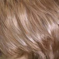 811 Pony Swing II by WigPro: Synthetic Hair Piece