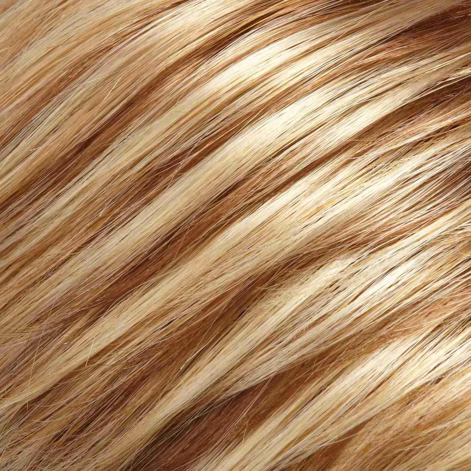 Blake Large Wig by Jon Renau | Remy Human Hair Lace Front (Hand-Tied)