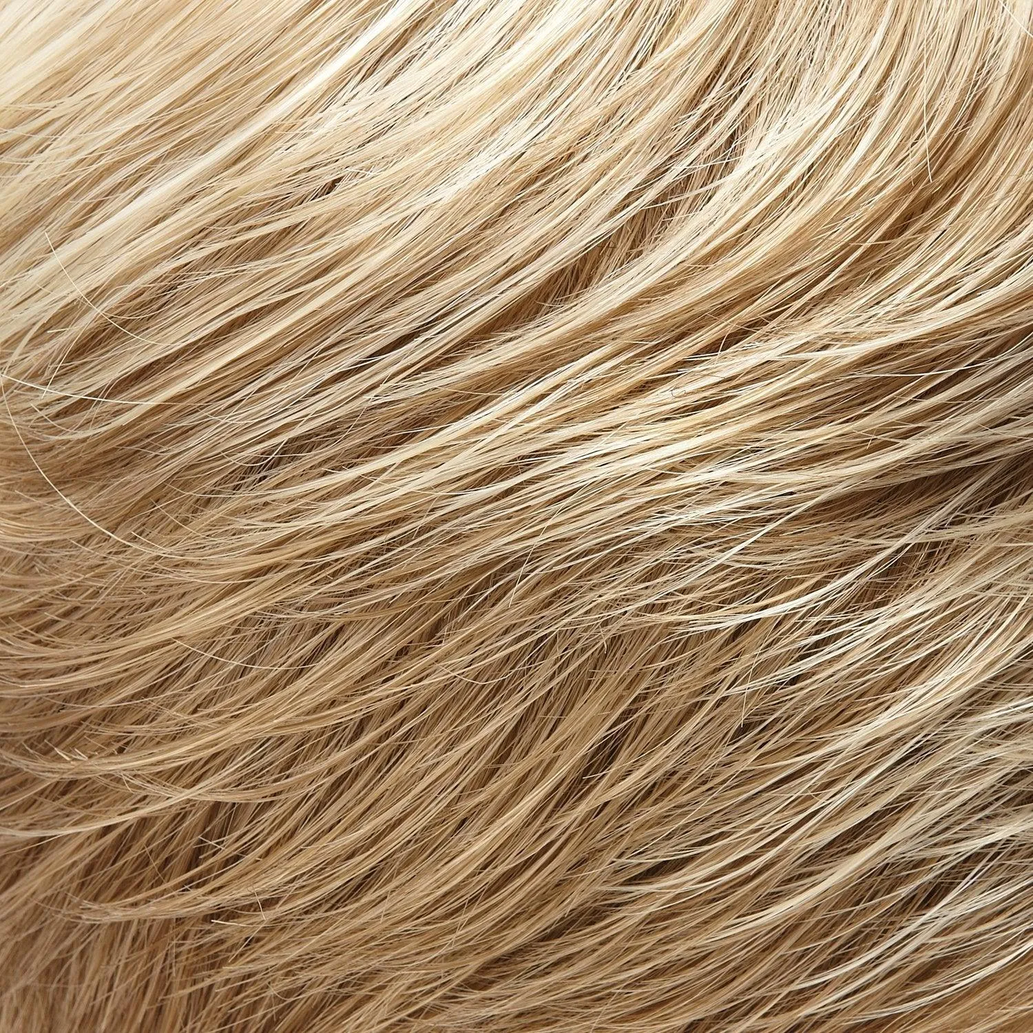 Blake Large Wig by Jon Renau | Remy Human Hair Lace Front (Hand-Tied)