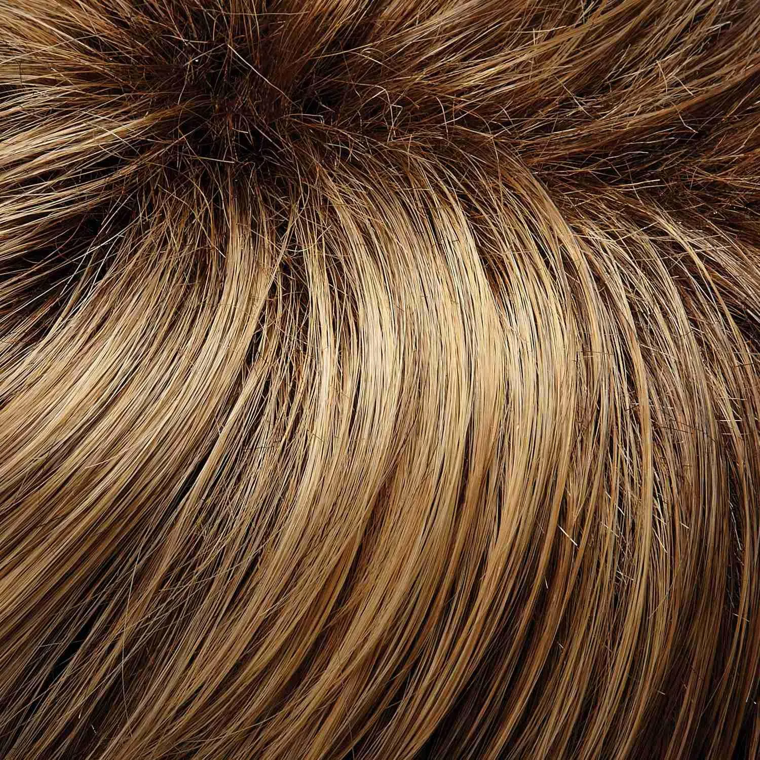 Blake Large Wig by Jon Renau | Remy Human Hair Lace Front (Hand-Tied)