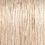 Captivating Canvas Wig by Raquel Welch | Synthetic Lace Front (Mono Part)