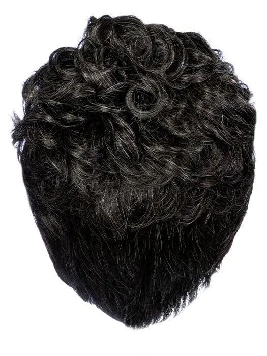 Dignified Wig by HIM | Synthetic Lace Front (Mono Top)