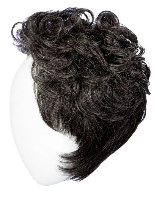 Dignified Wig by HIM | Synthetic Lace Front (Mono Top)