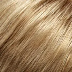 easiExtensions 20" by Jon Renau | 100% Human Hair Extension (Clip In)