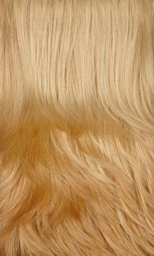 Felicia Wig by Henry Margu | Synthetic (Traditional Cap)