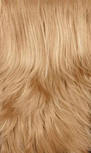 Felicia Wig by Henry Margu | Synthetic (Traditional Cap)