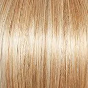 Gala Wig by Gabor | Synthetic (Traditional Cap)