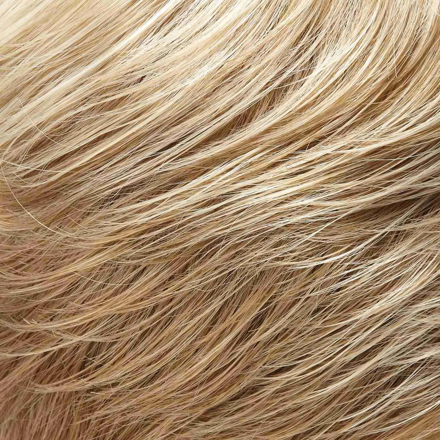 January Wig by Jon Renau | Synthetic (Lace Front Mono Top)
