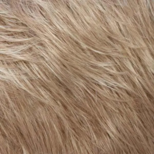 Mono Wiglet 513-LF Hairpiece by Estetica Designs | Synthetic (Lace Front Mono Top)